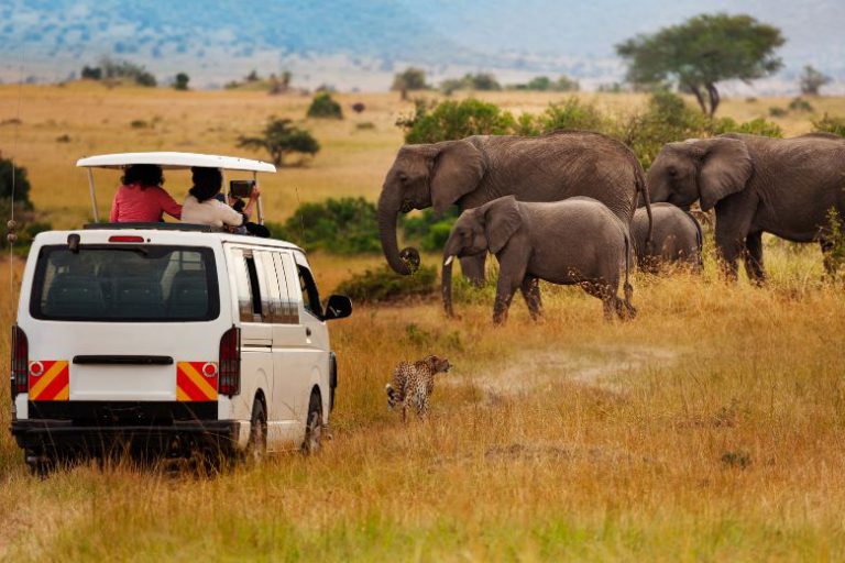 Discover the Bliss of Yoga and Walking Safaris